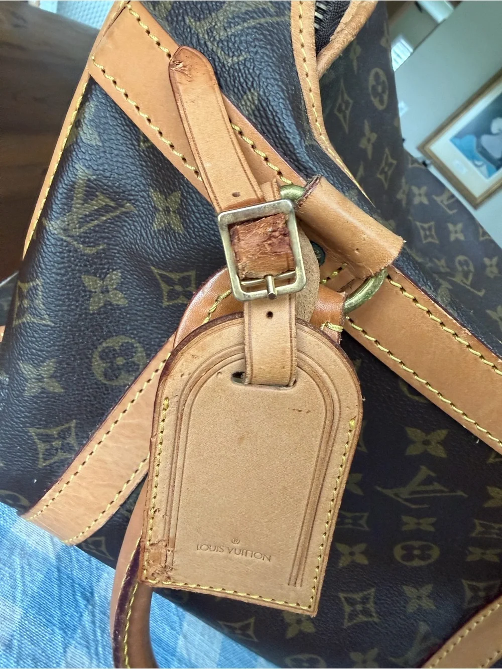 Vintage Louis Vuitton Sac Chien 40 Monogram Pet Carrier.